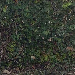 Meet your Posher, Sherry